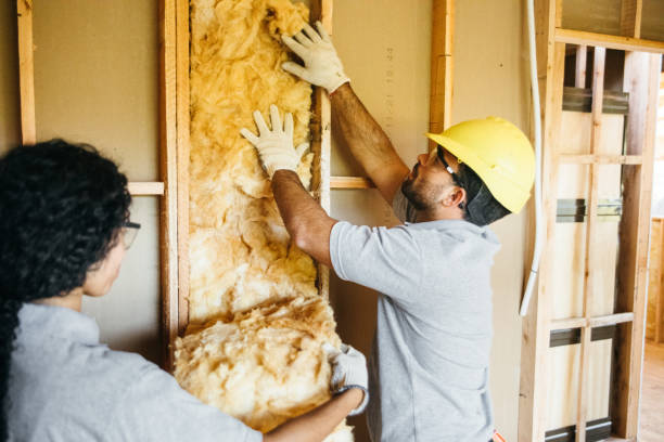 Best Eco-Friendly or Green Insulation Solutions  in Nokesville, VA